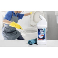 Northfork Toilet Bowl Cleaner 500ML
