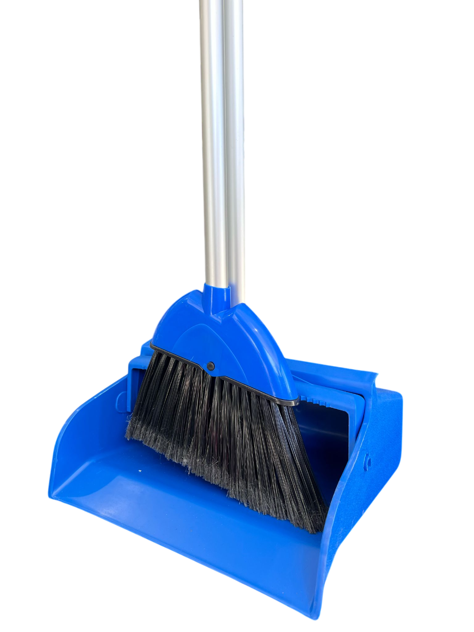 My Clean Lobby dust pan and Broom Set