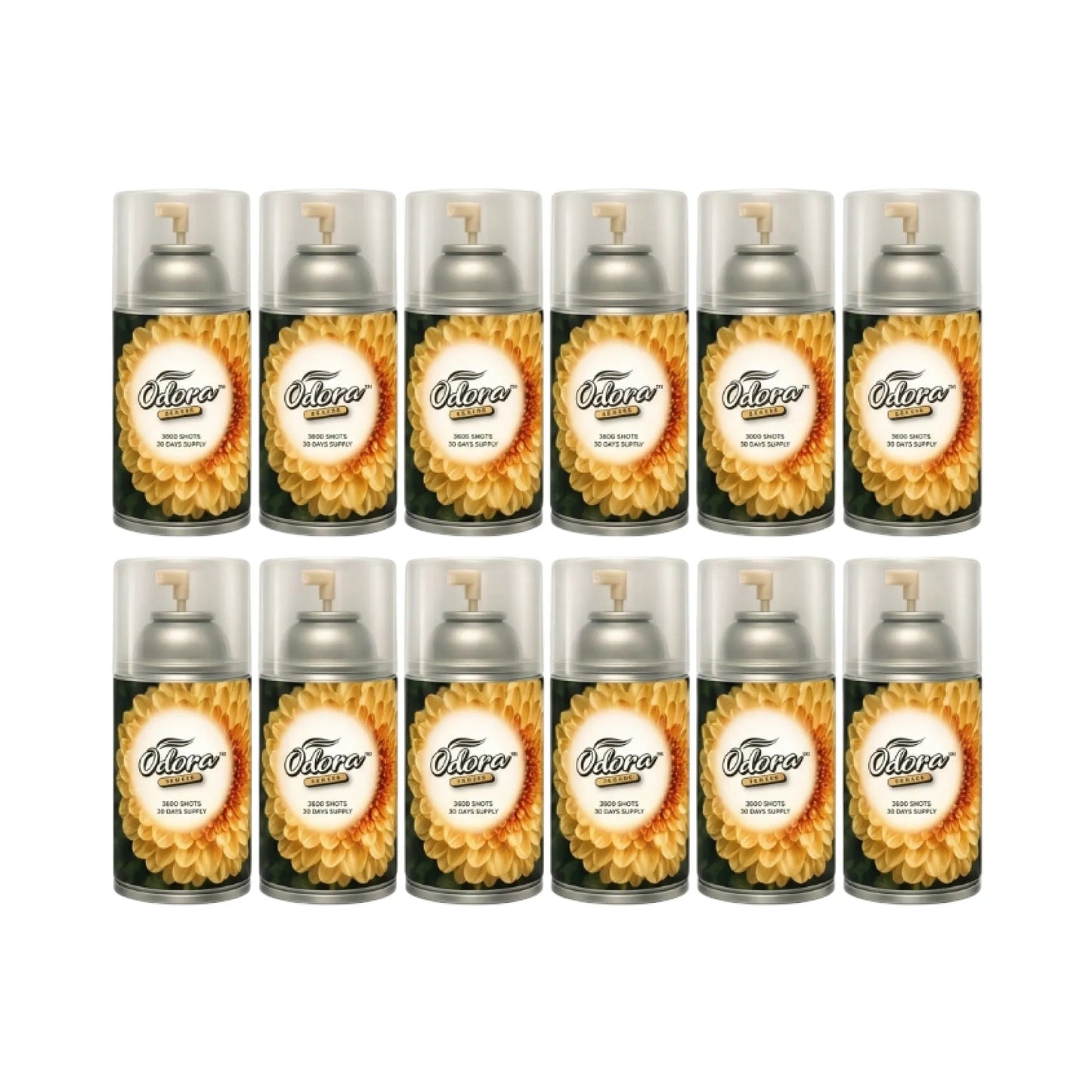 Twelve O'toer Hair Freshener spray cans arranged in two rows of six on a plain white background.