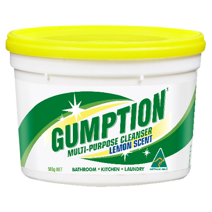 Gumption® Cleaning Paste 500g