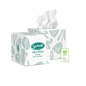Sorbent Facial Tissue Cube 2 ply 90 sheets