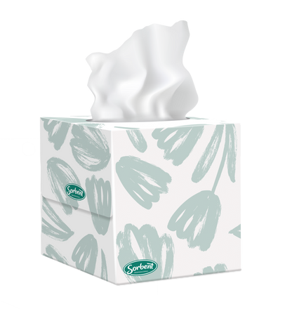 Sorbent Facial Tissue Cube 2 ply 90 sheets