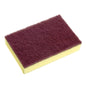 Sabco Pro 10Pk Sponge Scourers Medium