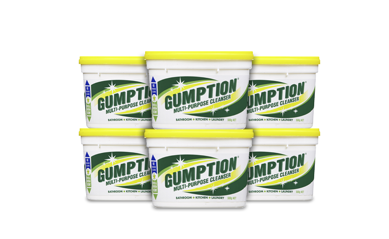 Gumption® Cleaning Paste 500g