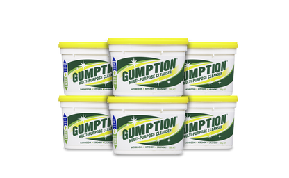 Gumption® Cleaning Paste 500g