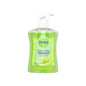 Dettol Antibacterial Liquid Hand Wash Pump Lemon & Lime 250ML
